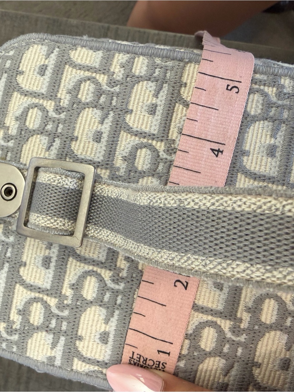 Dior Light Gray Dior Oblique Vanity Case - Picture 15 of 16
